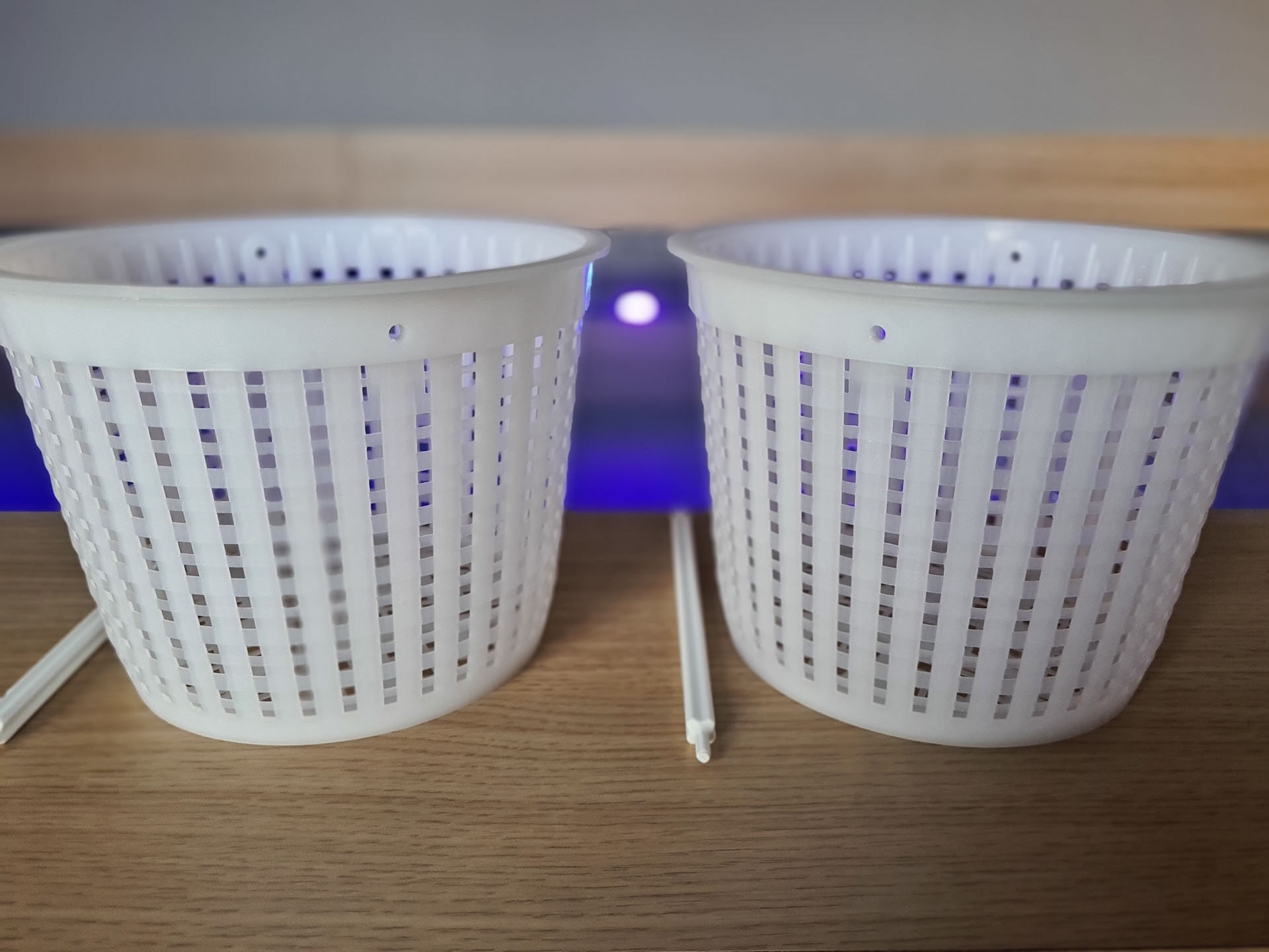Panier de skimmer avec anse / lot de 2 unités - AQUASERVICE